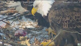 Hays Eagles Dad brings Mom fish gift 2021 02 17 140PM