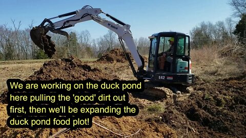 Duck pond expansion Pulling Good dirt with Bobcat e42 Mini Excavator