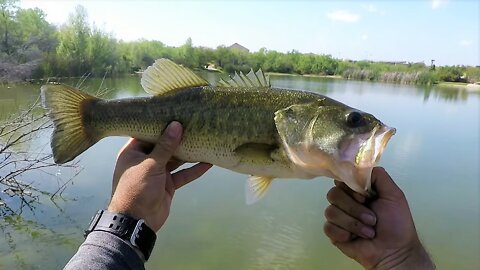 Fun Spring Fishing - (@Bass #Underground - Part 1)