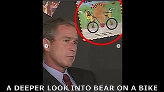 A Deeper Look Into Bear On A Bike