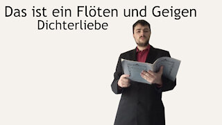 Das ist ein Flöten und Geigen - Dichterliebe - Robert Schumann