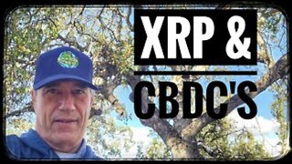 XRP CBDC by Allan Staple with The Staple Crew