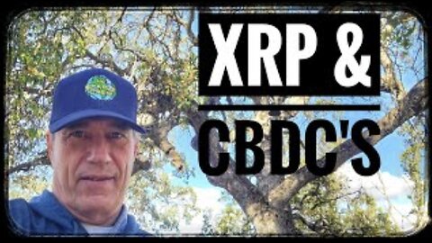 XRP CBDC by Allan Staple with The Staple Crew