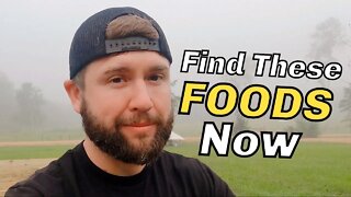 9 “Foods” That YOU NEED That Could SAVE Your Life | STOCK UP On NOW | Grow For Survival And Food