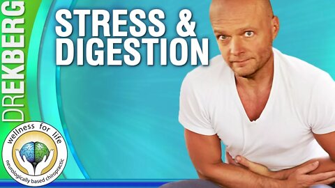 Stress And Digestion