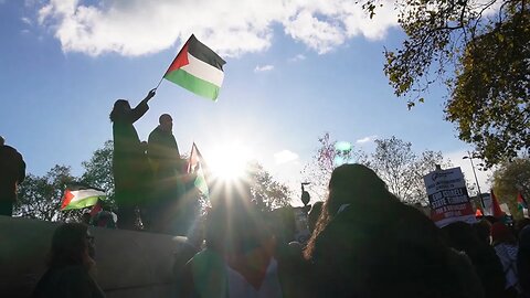 Million man march for Palestine, London, 11/11/2023