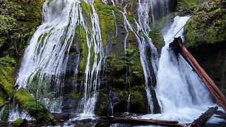 EXPLORING THE INCREDIBLE Panther Creek Falls! | Waterfall Hike | Gifford Pinchot | Washington | 4K