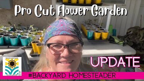 Pro cut flower update | up potting seedlings