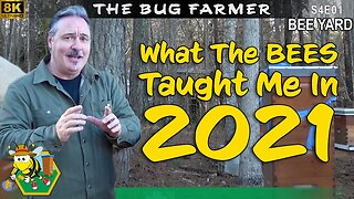 8k 2021 Review | What the bees taught me and plans for 2022. #beekeeping #8k