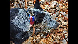 Smudge fun on The Mountain (Wednesday, March 22nd, 2023)