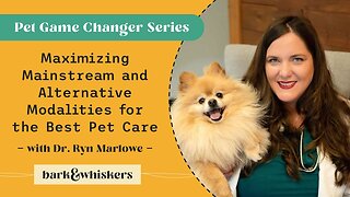 Maximizing Mainstream and Alternative Modalities for the Best Pet Care With Dr. Ryn Marlowe
