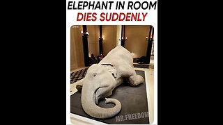 The ELEPHANT in the Room DIES SUDDENLY … A Compilation of Recent Bio-WEAPON JAB victims!