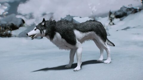 Skyrim True Wolves Of Skyrim LE/SE