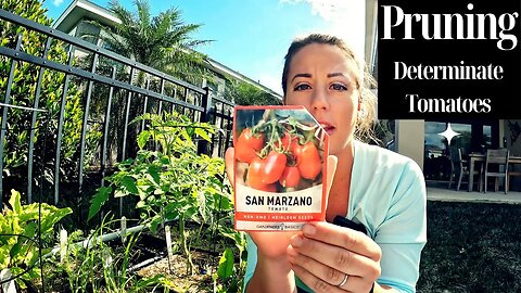 How to Prune a Determinate Tomato Plant - San Marzano