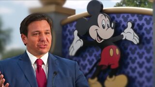 Walt Disney Parks and Resorts on Wednesday sued Florida Gov. Ron DeSantis