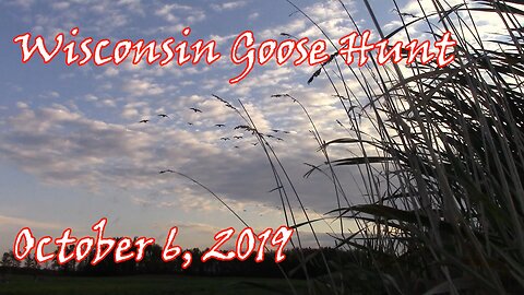 Incredible Goose Hunt 10-6-19