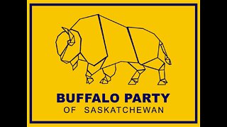 Why the Buffalo Party? Why now?