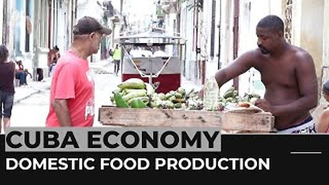 Cuba economy: Government seeks to revive food production