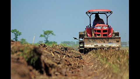 Farmers Protesting Globally! What's It All About - Chessboard Special