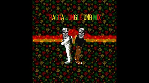 Ragga Jungle DNB Mix