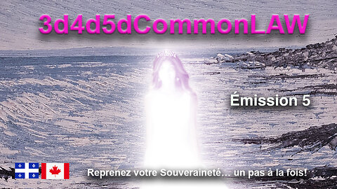 3d4d5dCommonLaw Émission 5