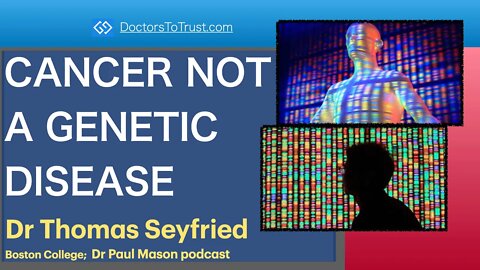 TOM SEYFRIED 2 | CANCER NOT A GENETIC DISEASE