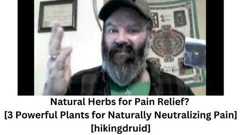 Natural Herbs for Pain Relief? [3 Powerful Plants for Naturally Neutralizing Pain] [hikingdruid]