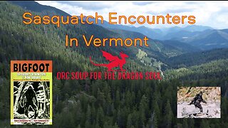 A Sasquatch encounter in Vermont.👀👣 Stranger than Fiction #bigfoot #cryptids #supernatural