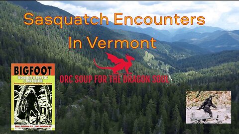 A Sasquatch encounter in Vermont.👀👣 Stranger than Fiction #bigfoot #cryptids #supernatural
