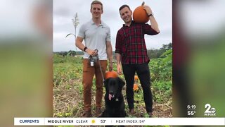 Family and dog-friendly farm offers fall fun for all