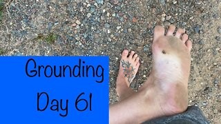 Grounding Day 61 - big birds