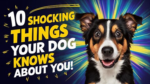 10 Shocking Things Your Dog Knows About You