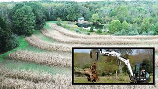 Southern Illinois hunting land drone tour-incredible land management property success!