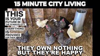 What A 15-Minute City Looks Like 🐔🏙️🥚