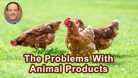 The Problems With Animal Products