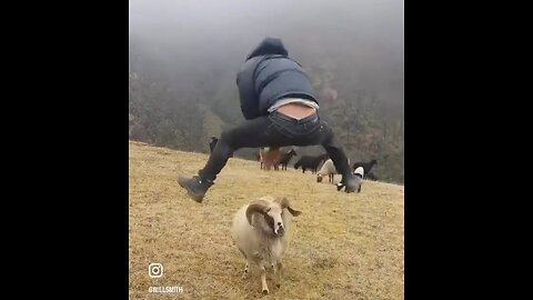 "Discover the Thrill: Men Embrace the Adventure of Goat-Jumping"