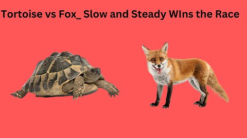 Tortoise vs Fox_ Slow and Steady WIns the Race