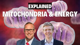 Mitochondria and Energy | THE BASICS 8