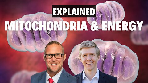 Mitochondria and Energy | THE BASICS 8