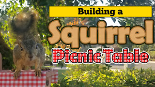 Building a Squirrel Picnic Table