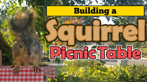 Building a Squirrel Picnic Table