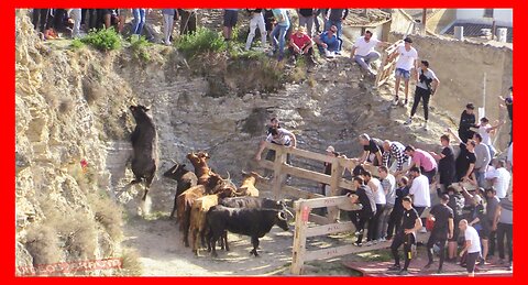 ARGUEDAS ( NAVARRA ) TARDE ENCIERRO DEL ESTRECHO ( SABADO 8 ABRIL 2023 ) GANAD.USTARROZ