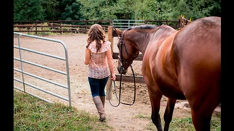 Horse walks inside house to chill with owner