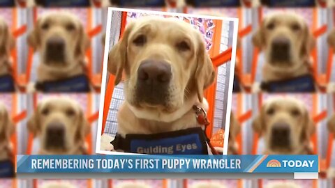 Wrangler, TODAY's First 'Puppy With A Purpose,' Passes Away At 6