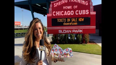 BIG BEERS AND BIG HOT DOGS! Cubs 2022 Spring Training Menu - Appetite AZ