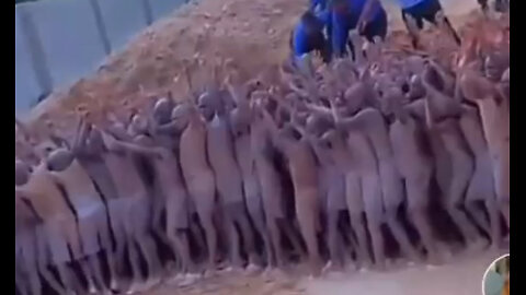 CHILD SLAVE TRADE, LIVE TIME! WHERE'S BLM?!