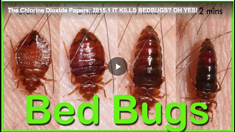 The Chlorine Dioxide Papers: 2015.1 IT KILLS BEDBUGS? OH YES!