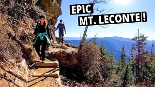 Our Favorite Smoky Mountains Hike! | Alum Cave Trail to Mount LeConte | SMNP
