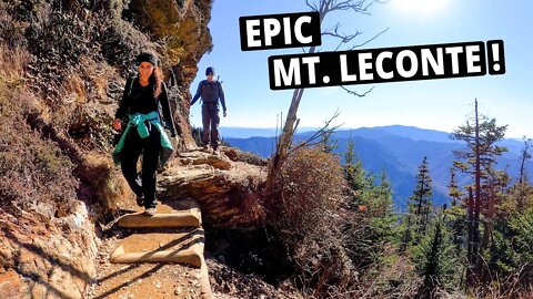 Our Favorite Smoky Mountains Hike! | Alum Cave Trail to Mount LeConte | SMNP