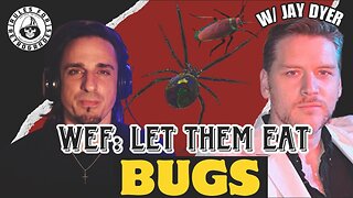 Let Them Eat Bugs Tucker Documentary & The Secret Council of Night - Tim Gordon / Jay Dyer